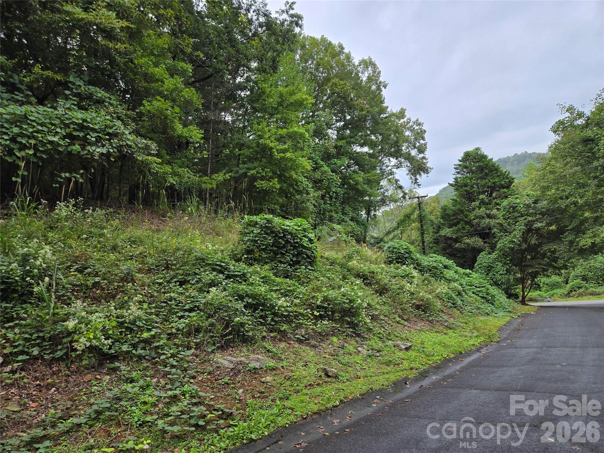 0 Waterside Drive Lake Lure NC 28746