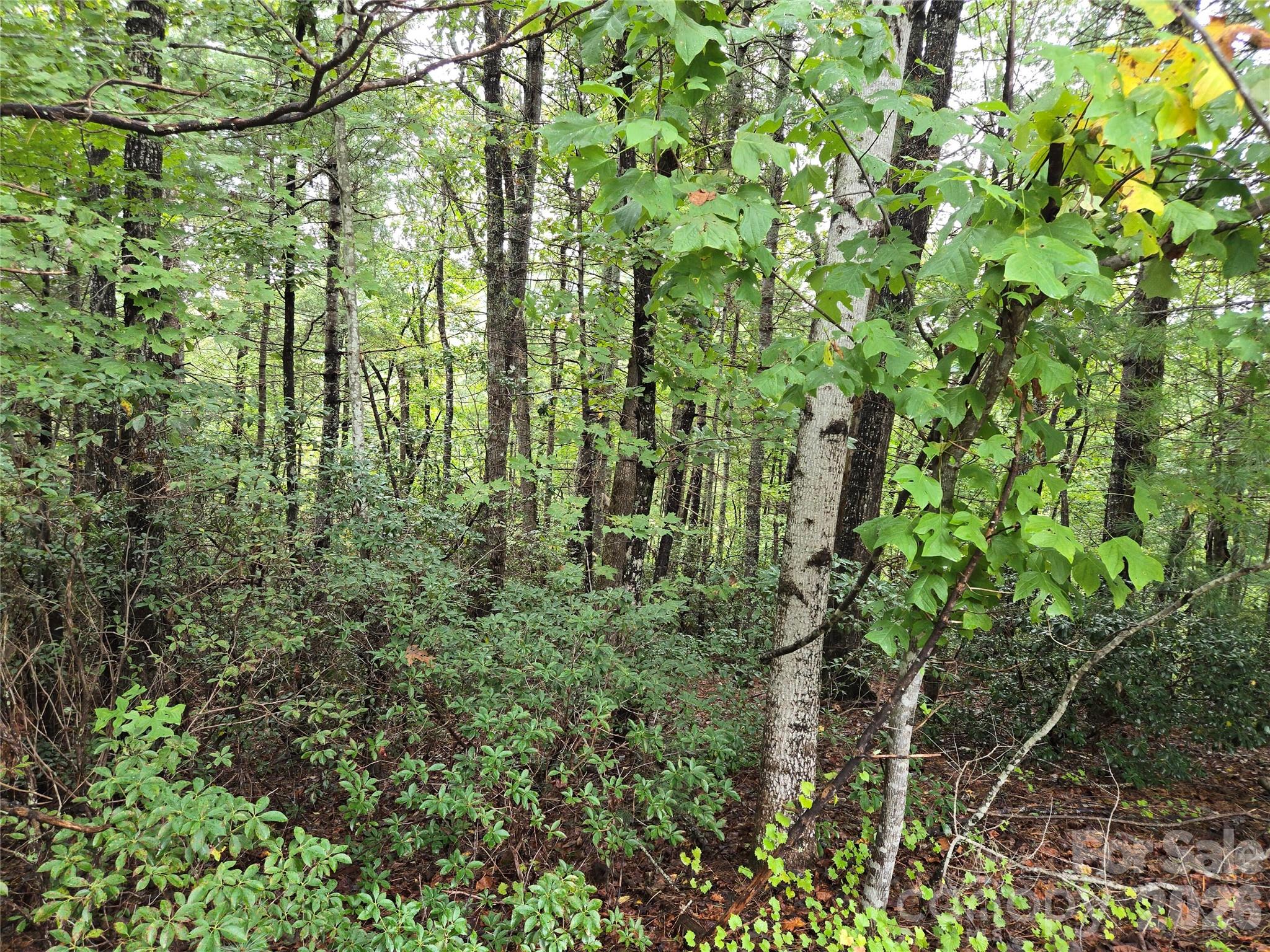 0 Waterside Drive Lake Lure NC 28746