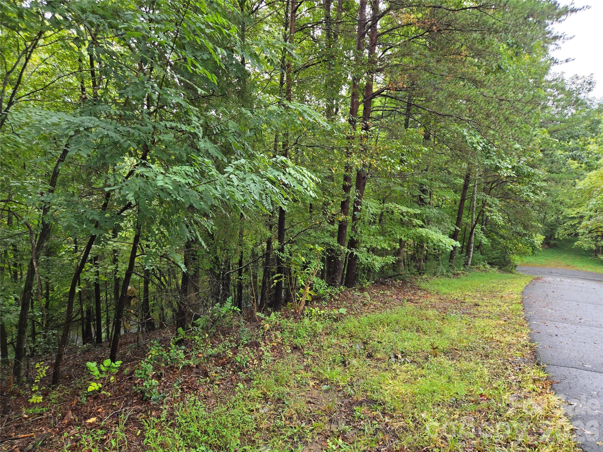 0 Waterside Drive Lake Lure NC 28746