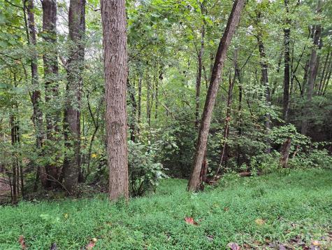 0 Waterside Drive Lake Lure NC 28746