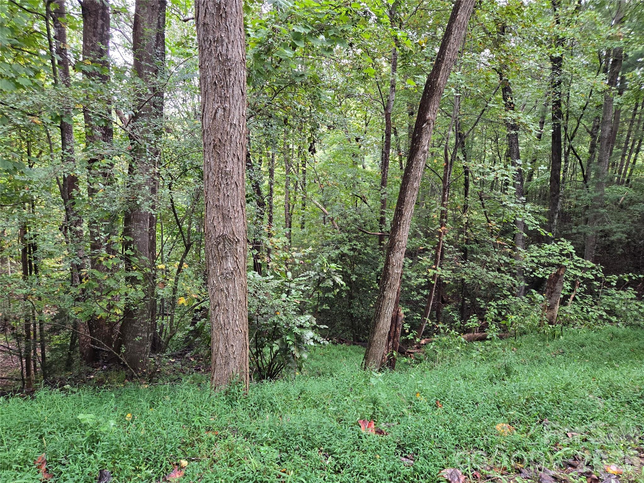 0 Waterside Drive Lake Lure NC 28746