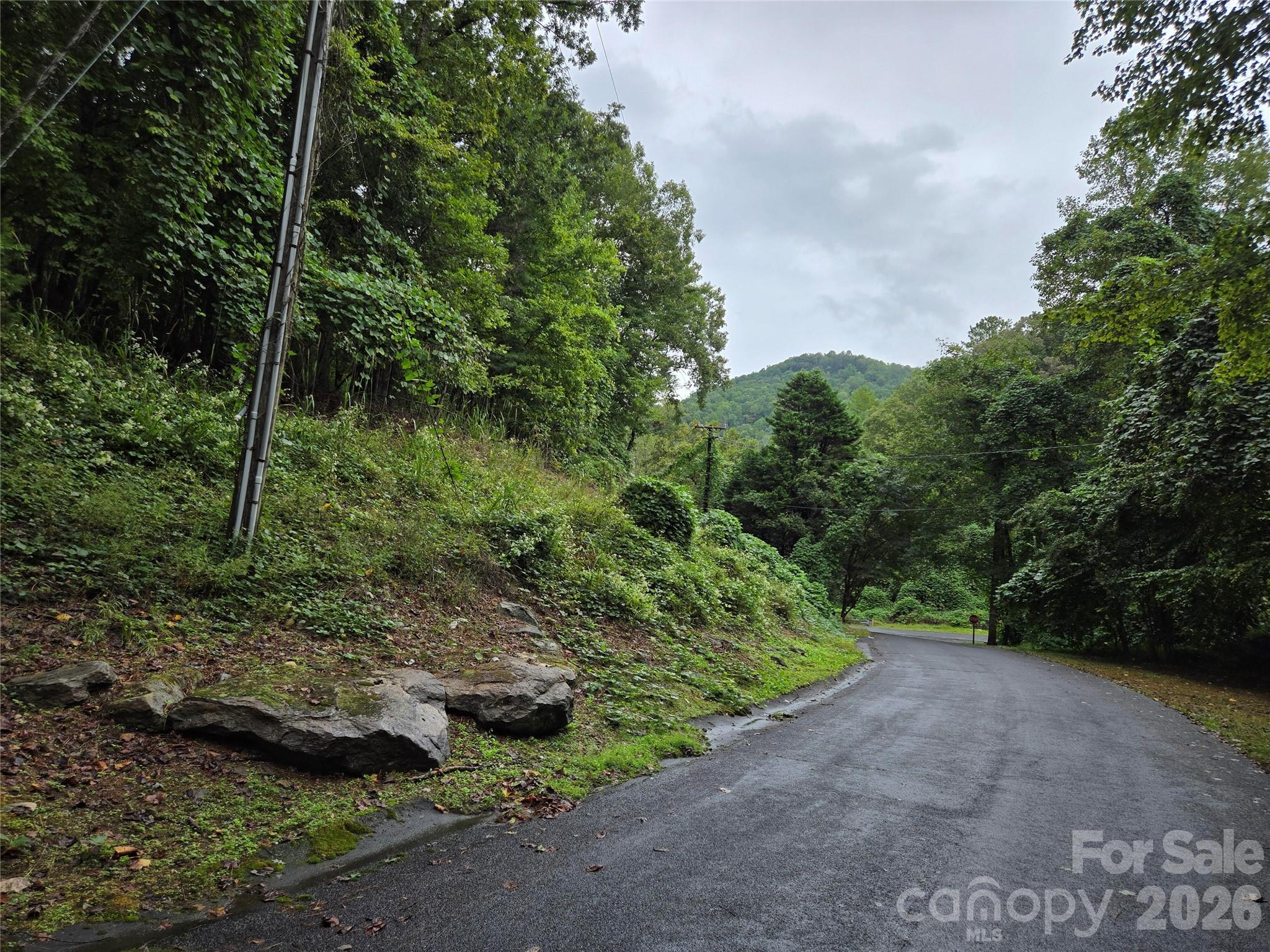 0 Waterside Drive Lake Lure NC 28746