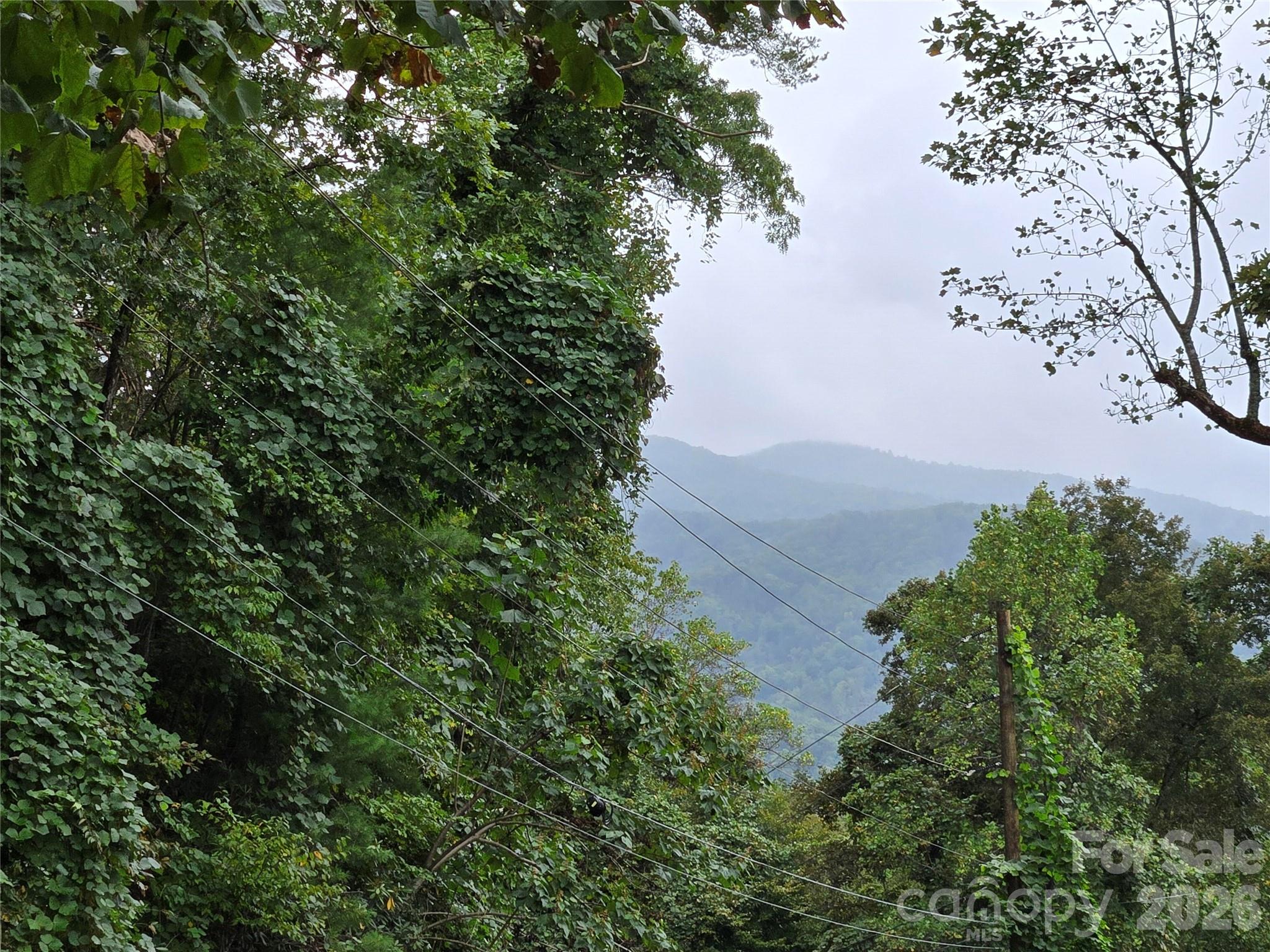 0 Waterside Drive Lake Lure NC 28746