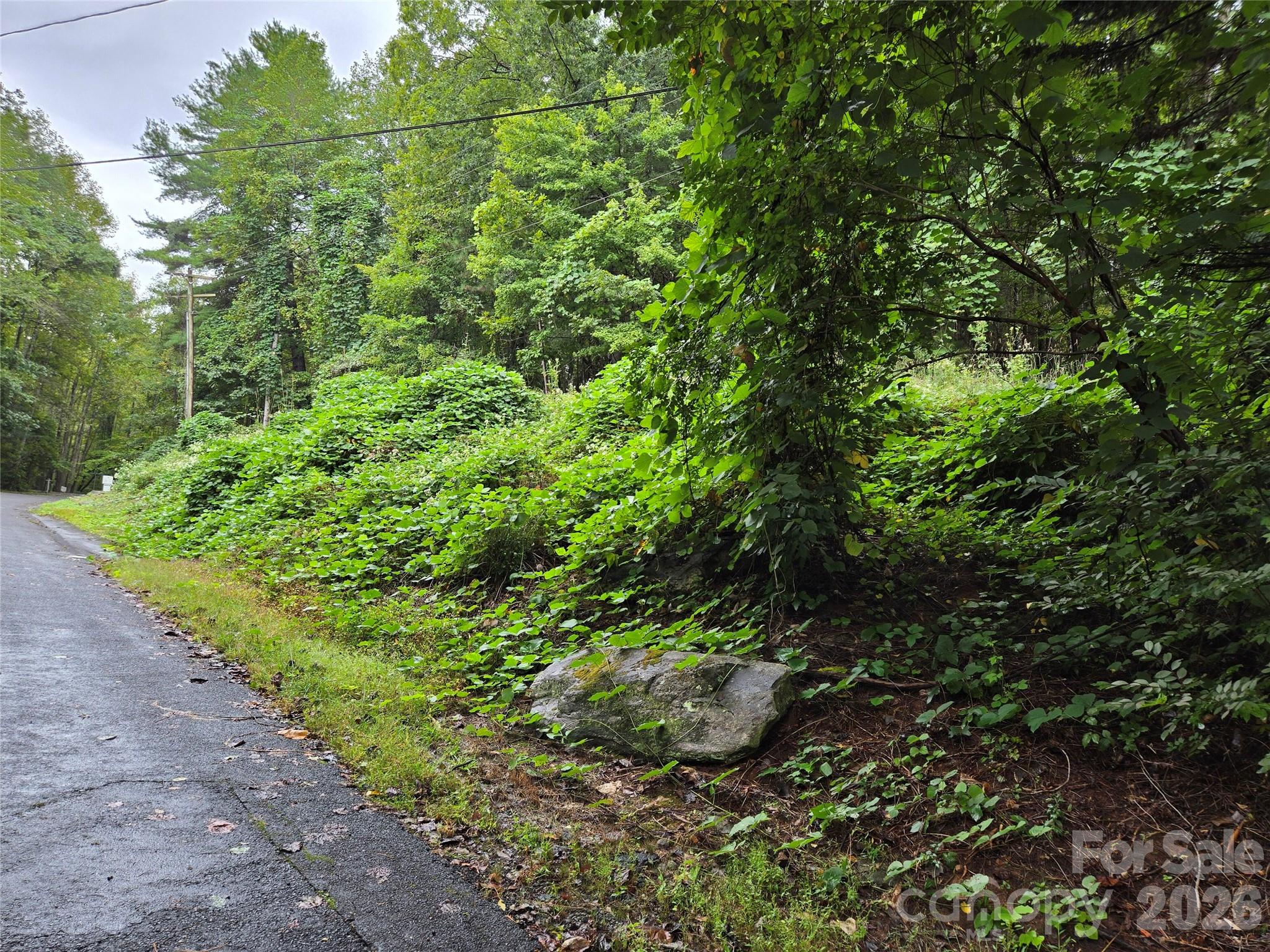 0 Waterside Drive Lake Lure NC 28746