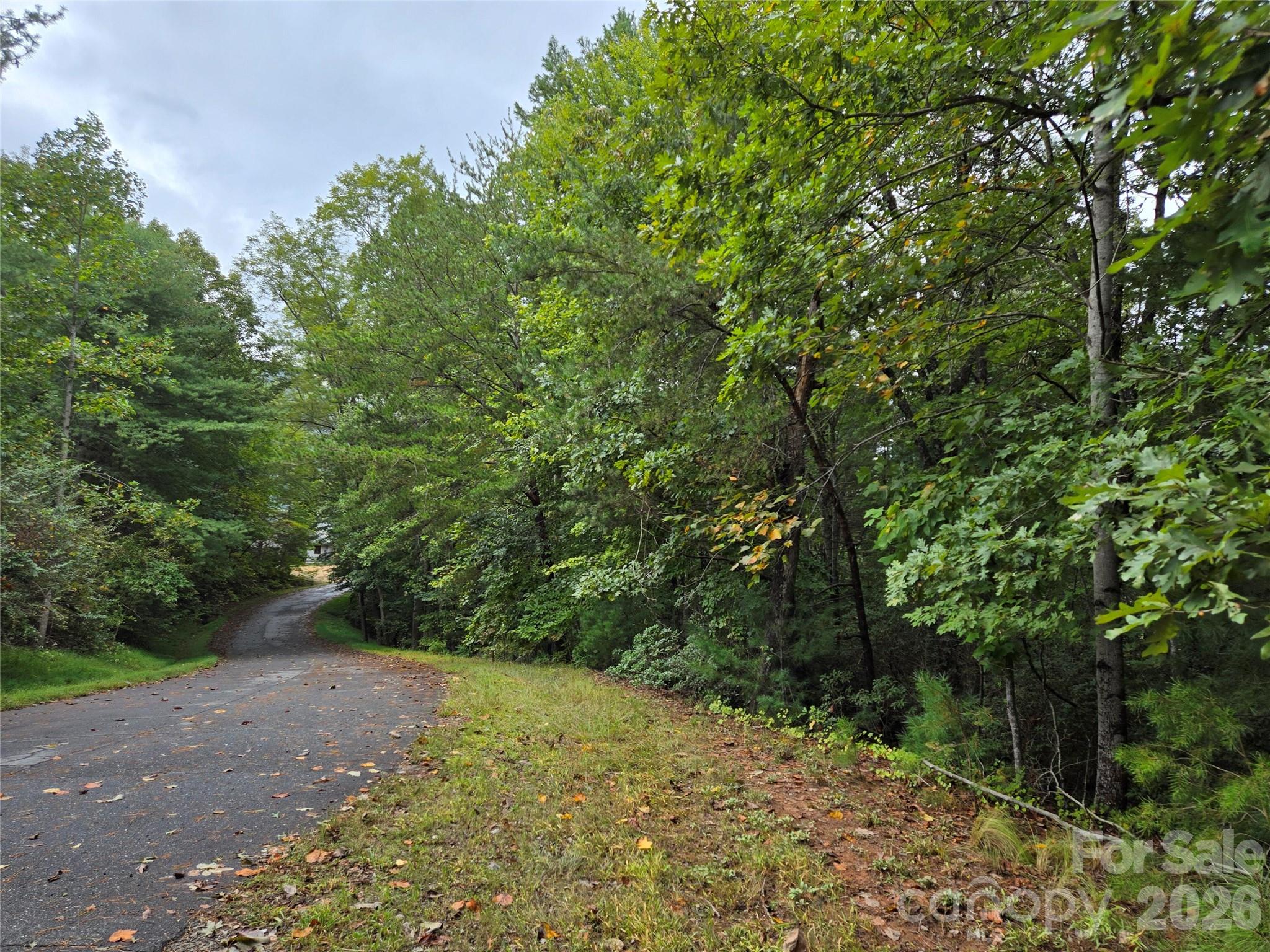 0 Waterside Drive Lake Lure NC 28746