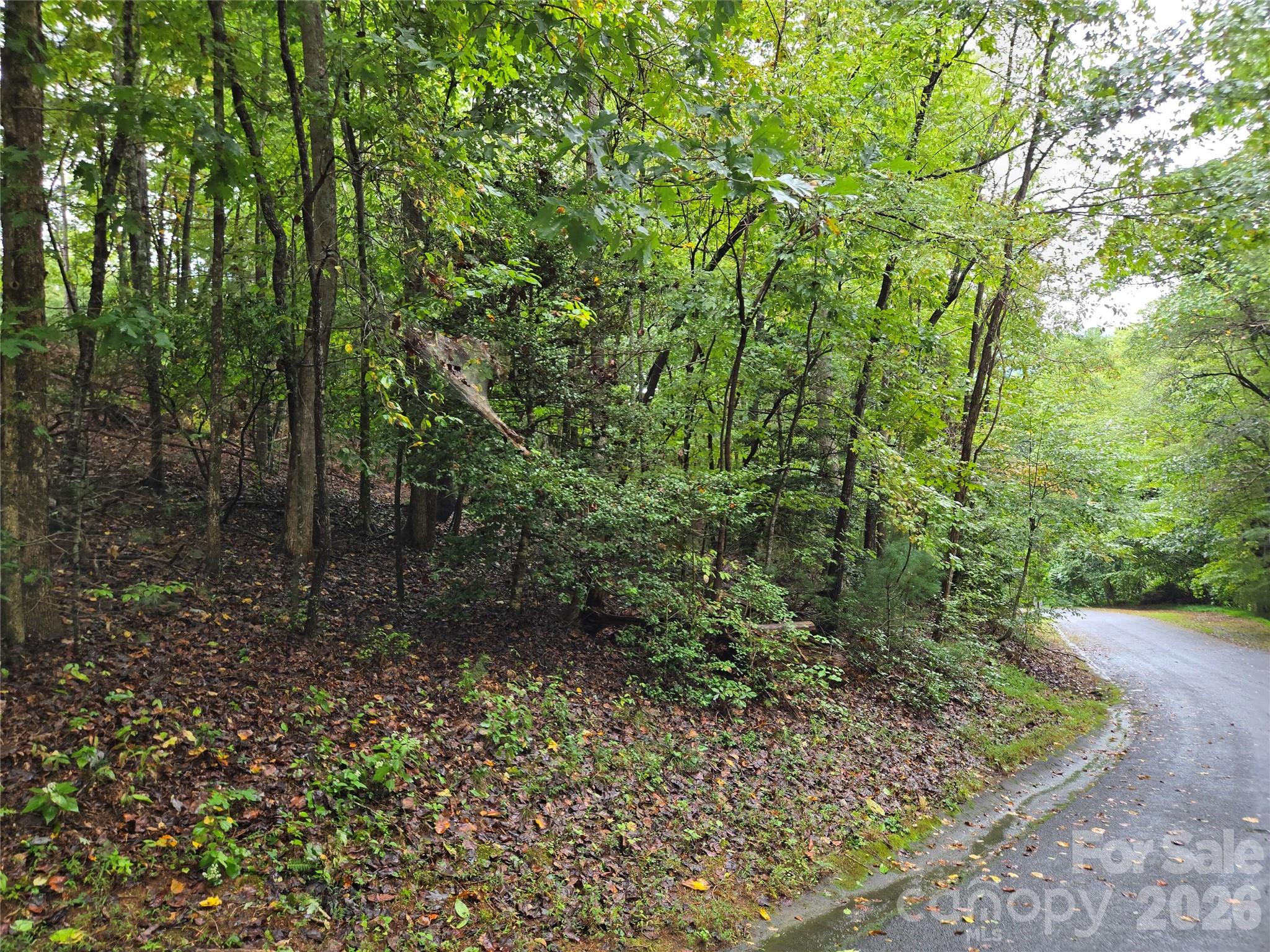 0 Waterside Drive Lake Lure NC 28746