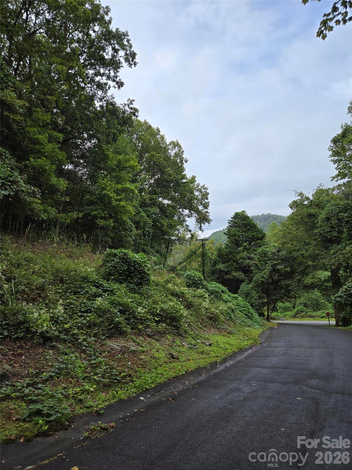 0 Waterside Drive Lake Lure NC 28746