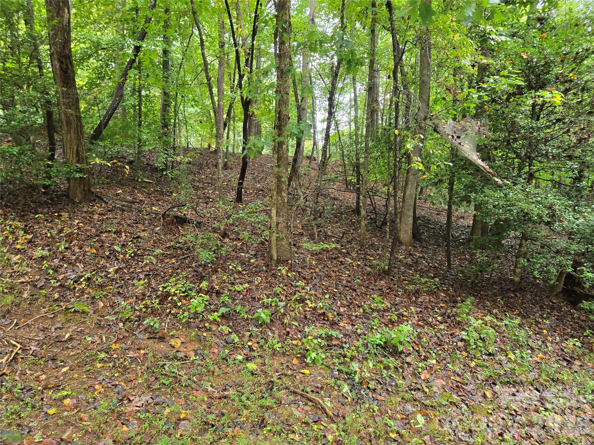 0 Waterside Drive Lake Lure NC 28746