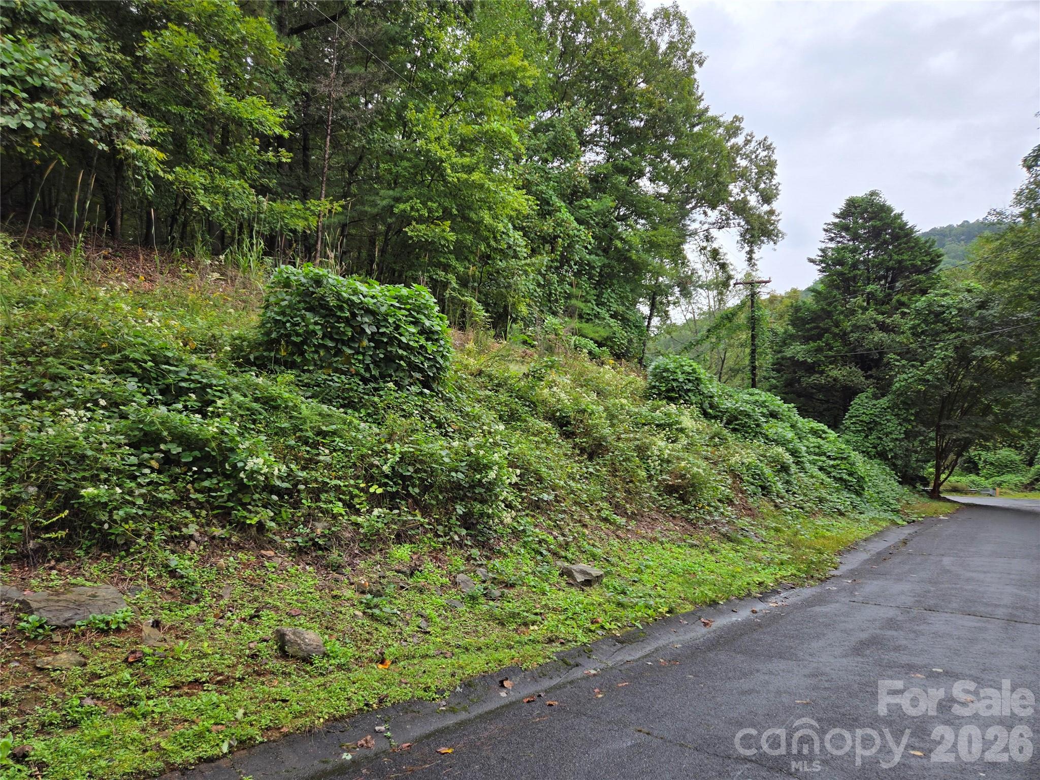 0 Waterside Drive Lake Lure NC 28746