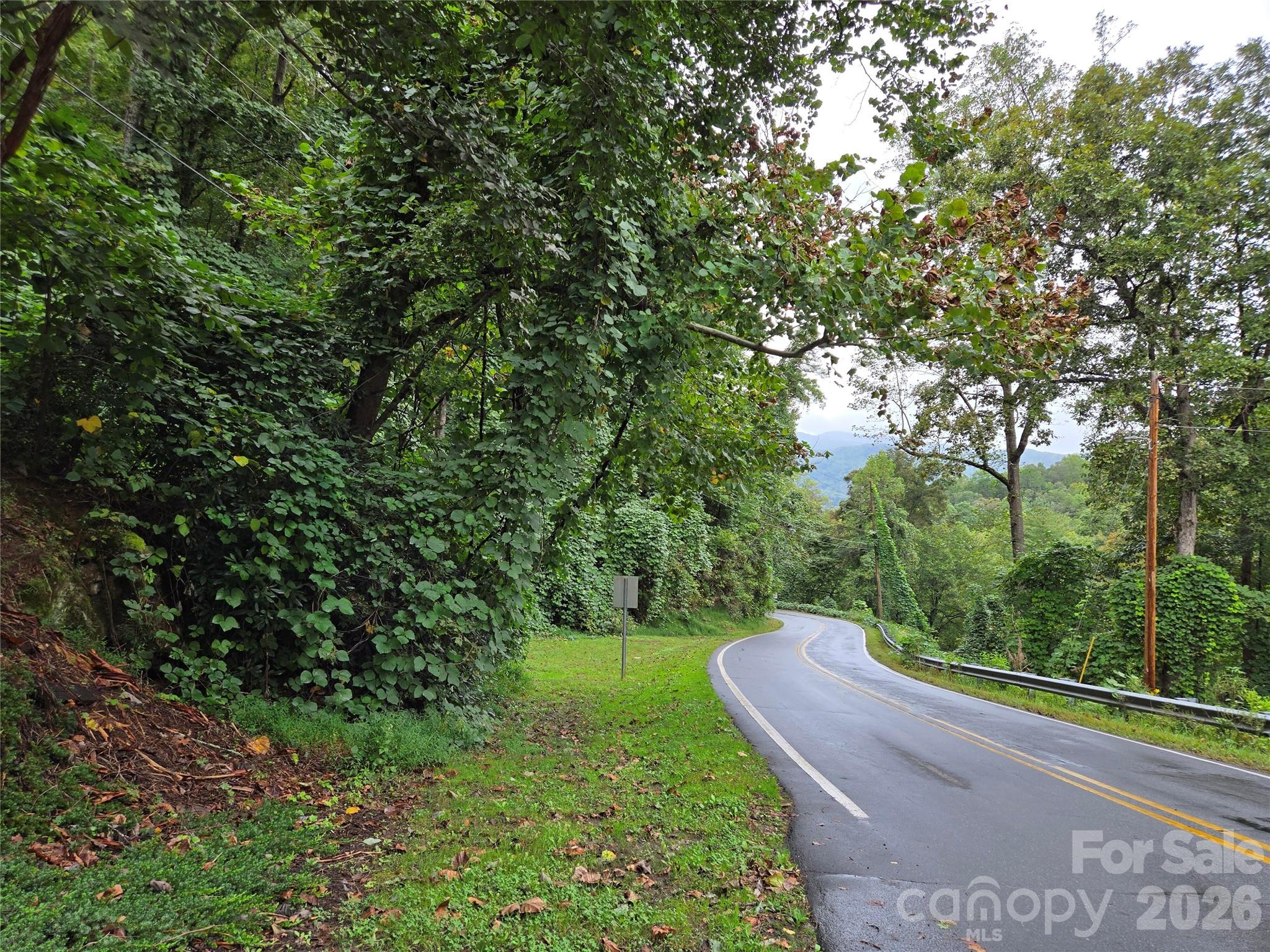 0 Waterside Drive Lake Lure NC 28746