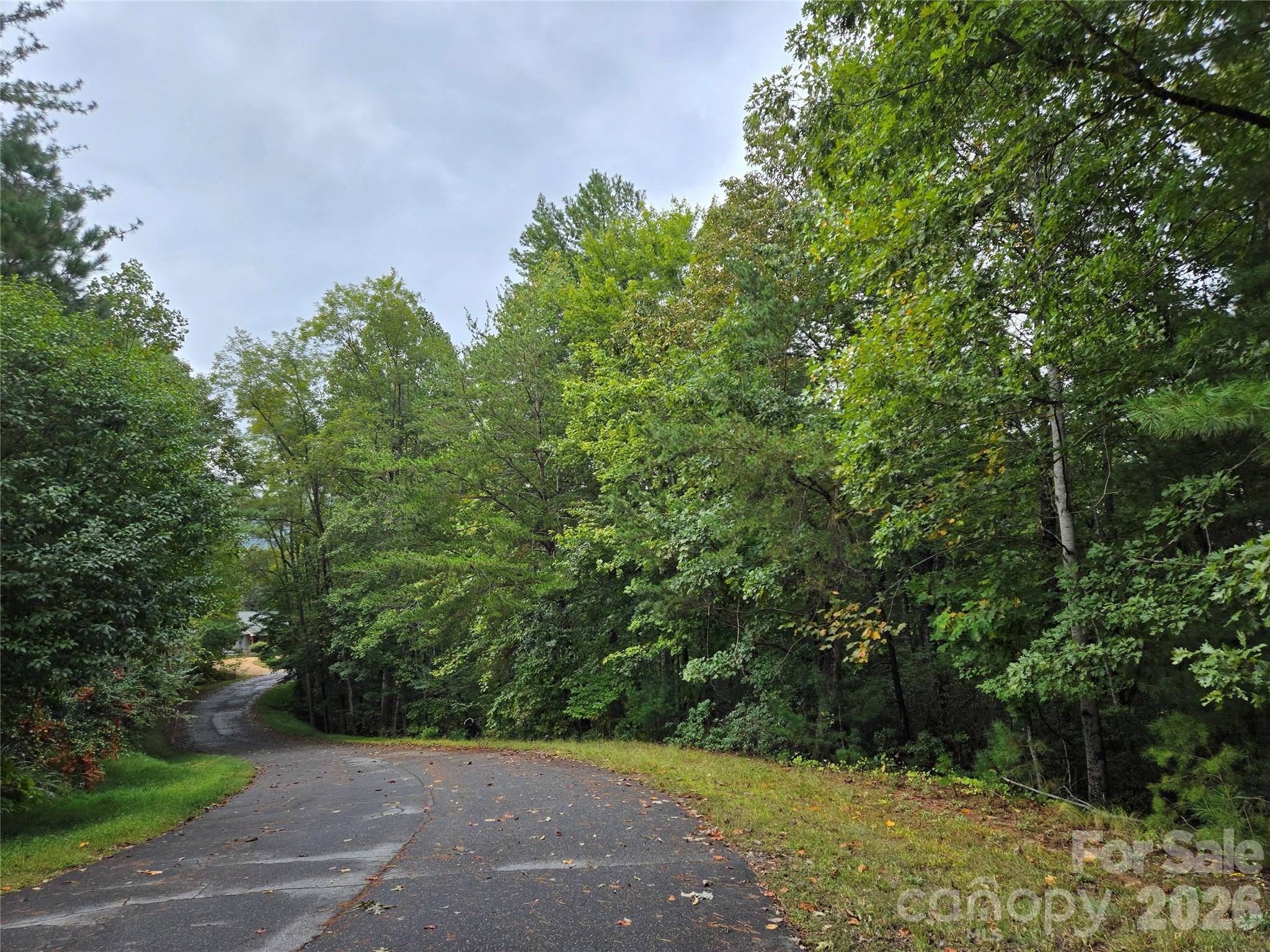 0 Waterside Drive Lake Lure NC 28746