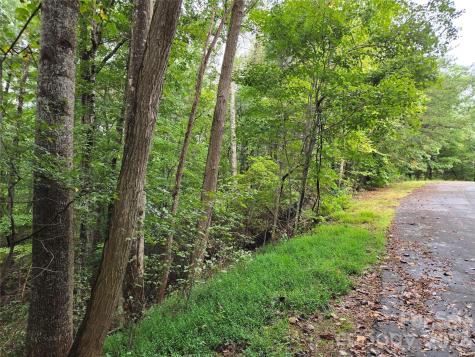0 Waterside Drive Lake Lure NC 28746