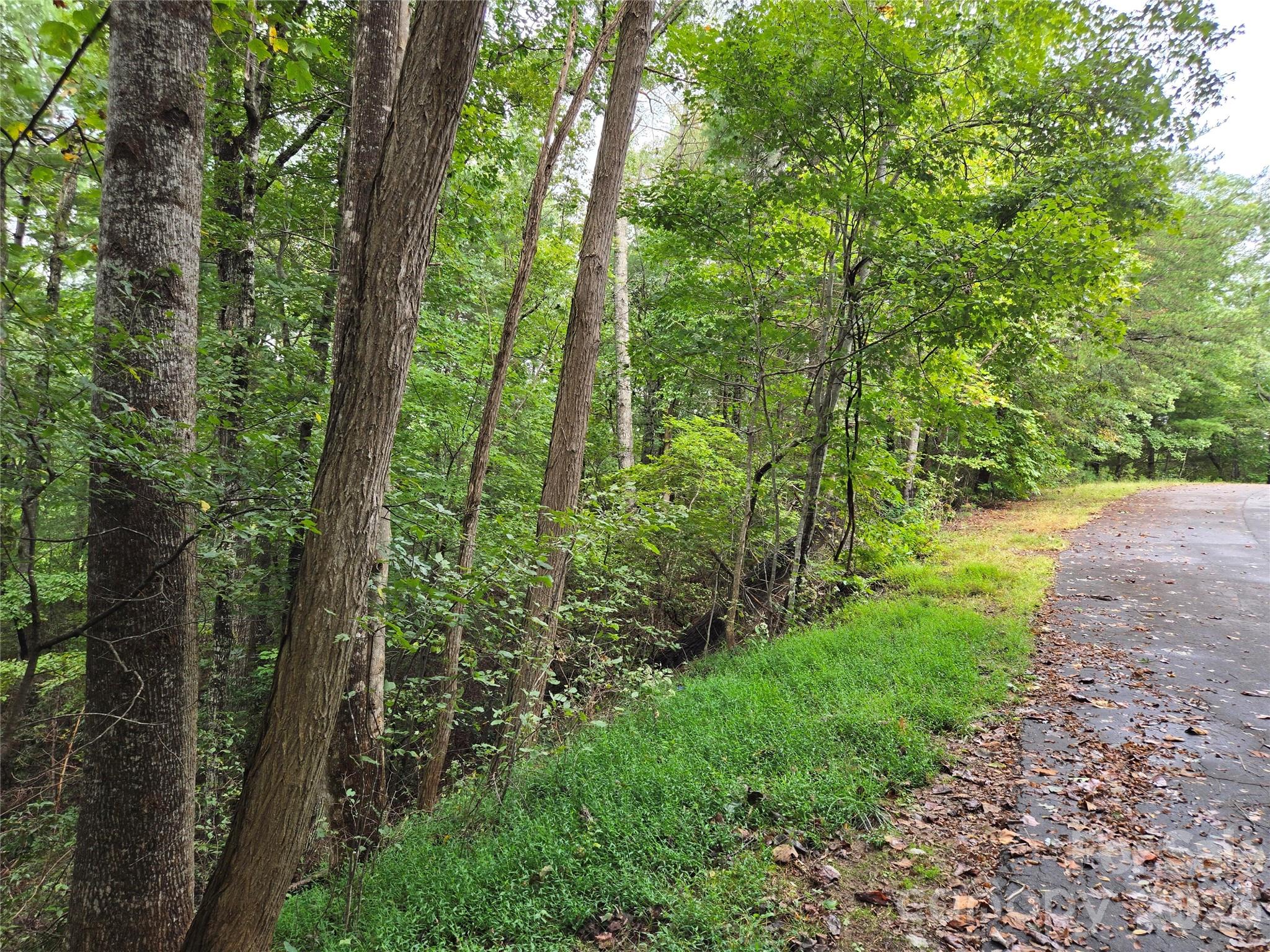 0 Waterside Drive Lake Lure NC 28746