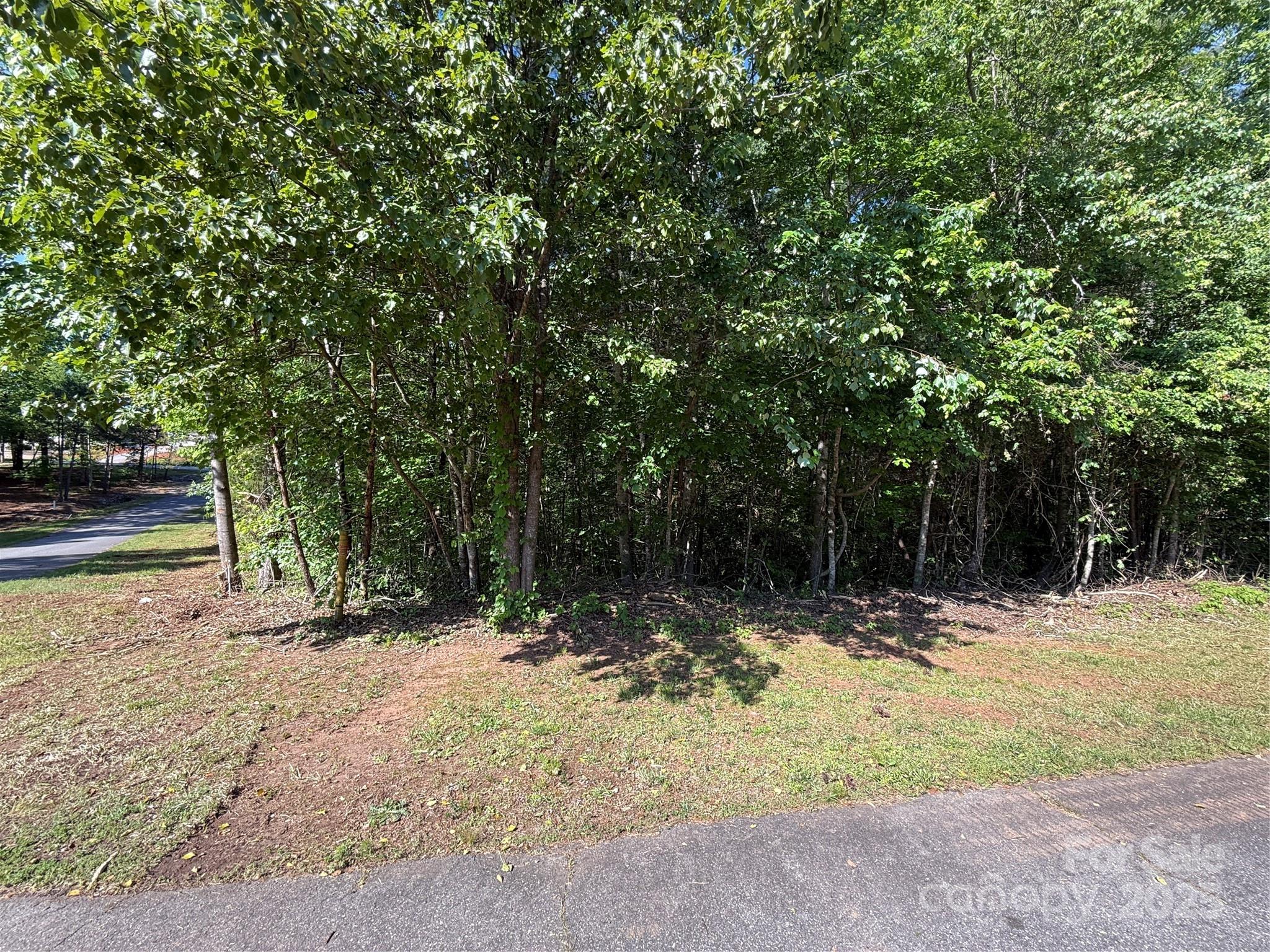 Lot 89 Browning Drive Taylorsville NC 28681