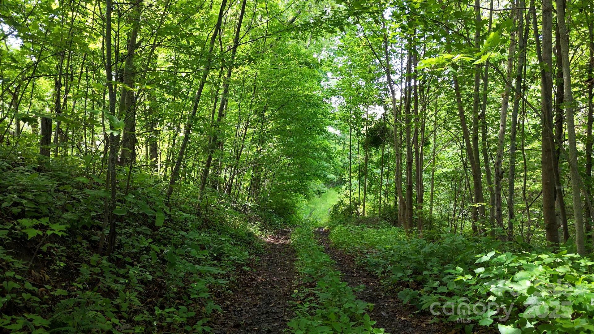 00 Liner Cove Road Waynesville NC 28786