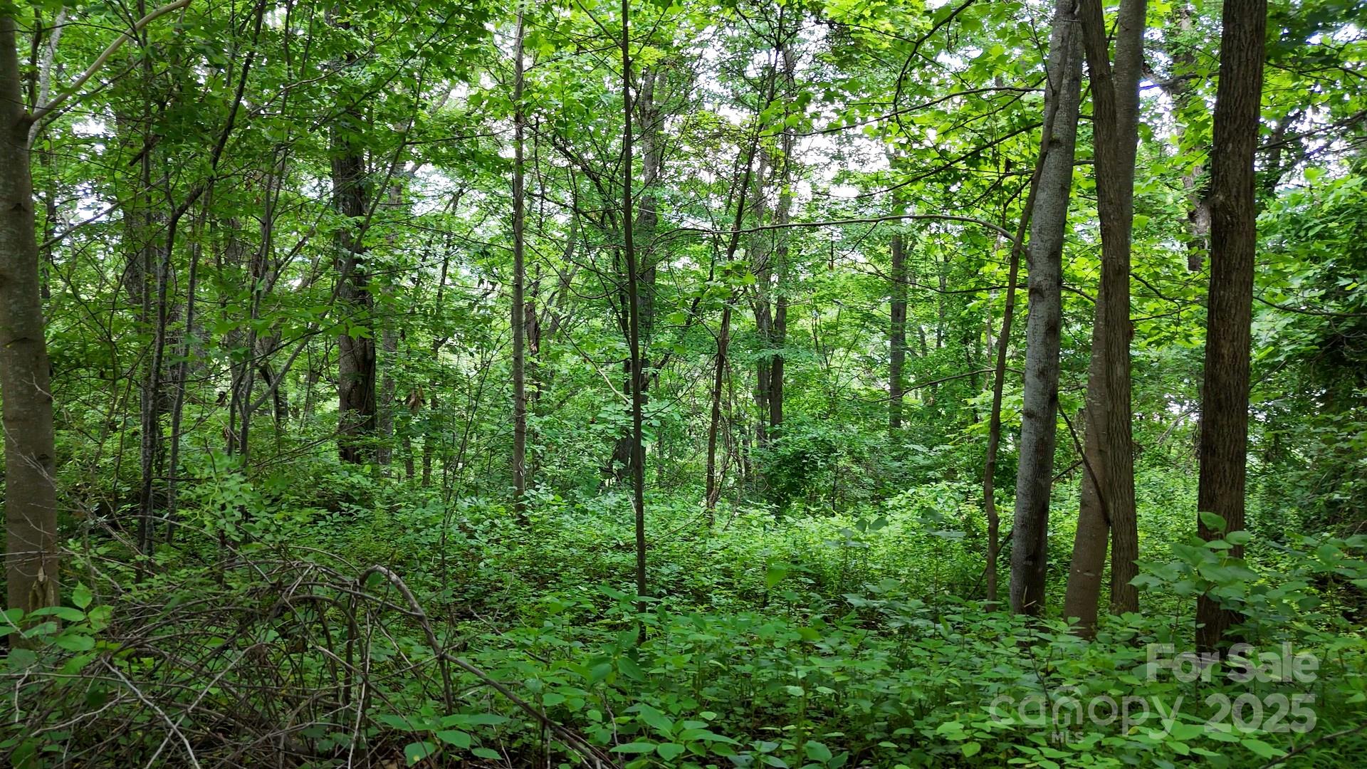 00 Liner Cove Road Waynesville NC 28786
