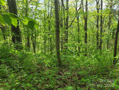 00 Liner Cove Road Waynesville NC 28786