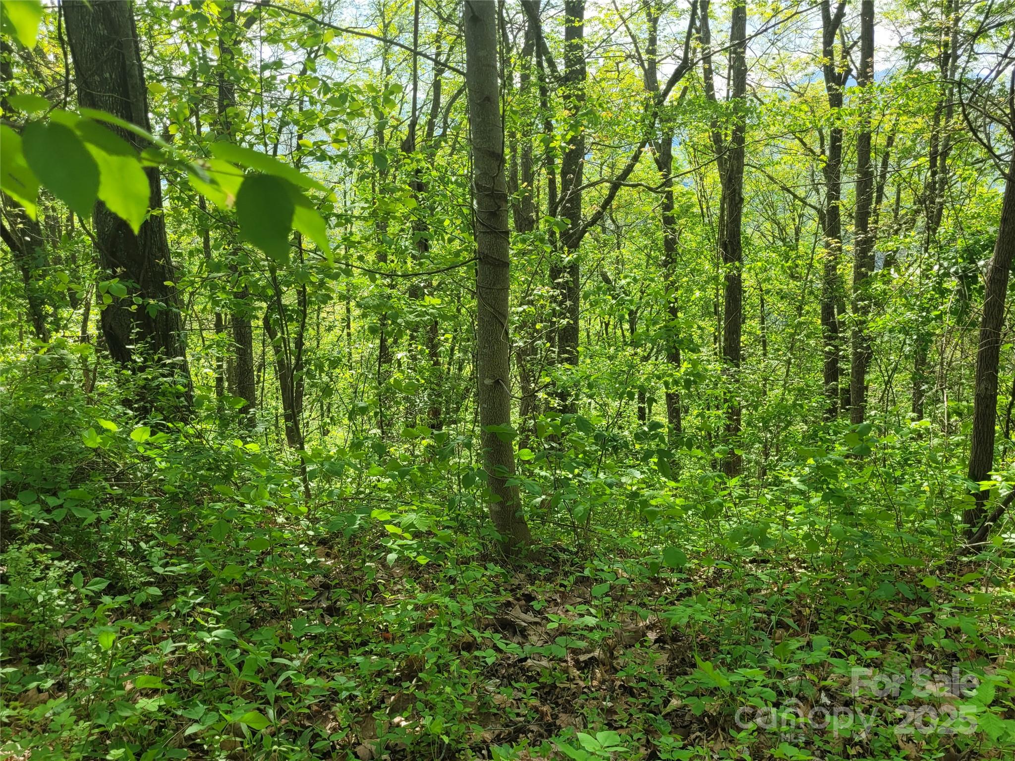00 Liner Cove Road Waynesville NC 28786