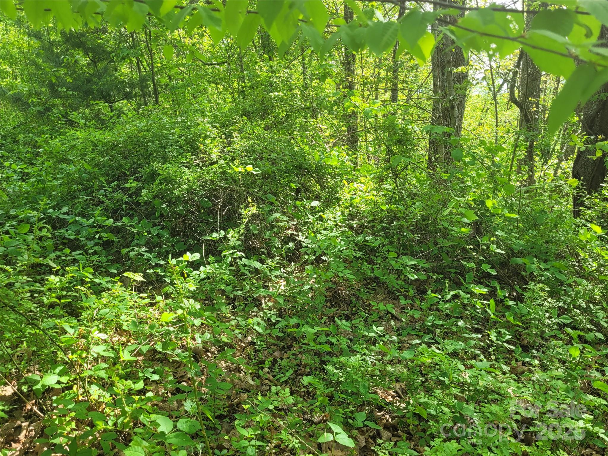 00 Liner Cove Road Waynesville NC 28786