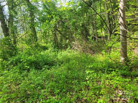 00 Liner Cove Road Waynesville NC 28786