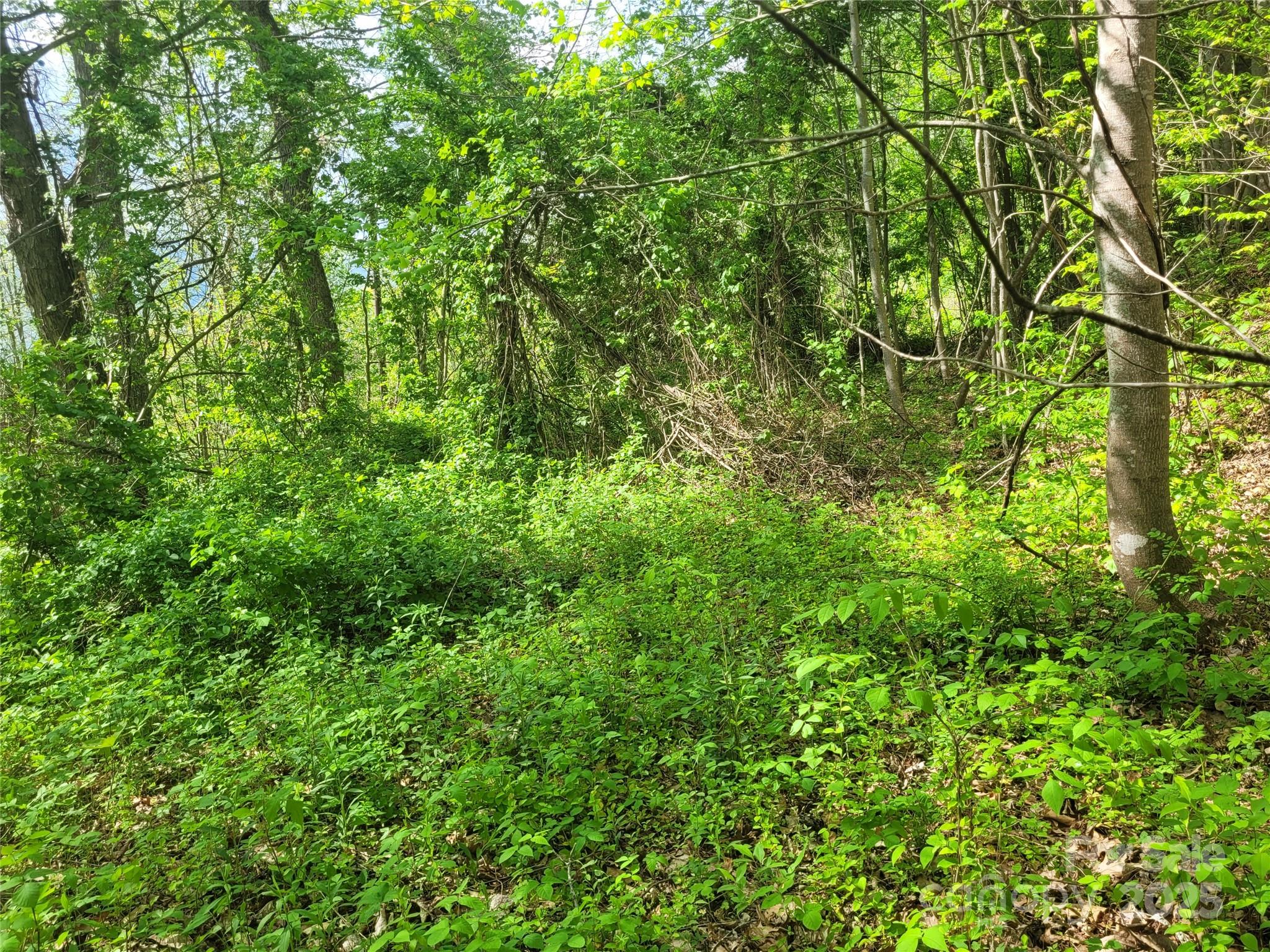 00 Liner Cove Road Waynesville NC 28786