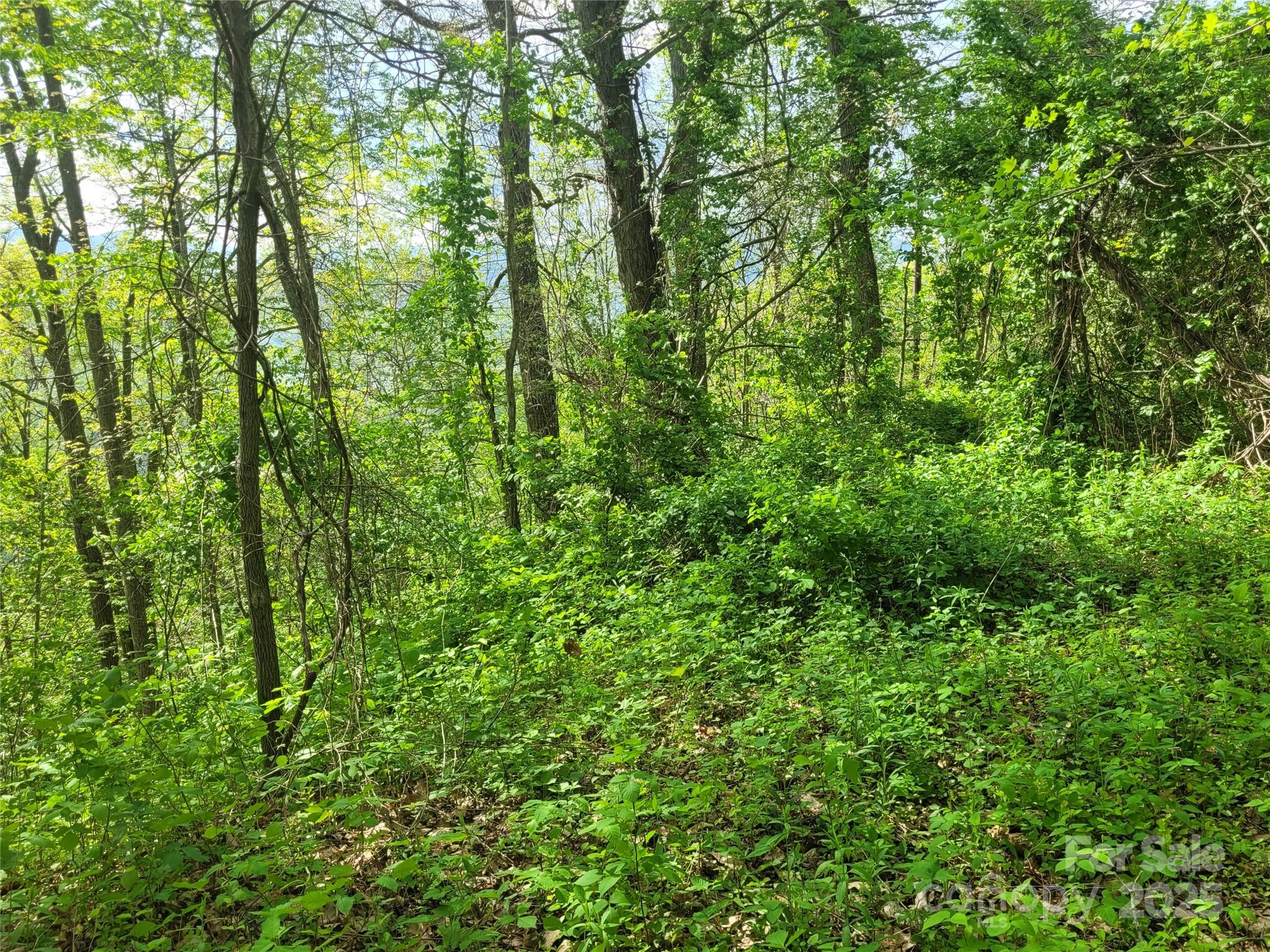 00 Liner Cove Road Waynesville NC 28786