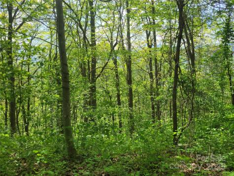 00 Liner Cove Road Waynesville NC 28786