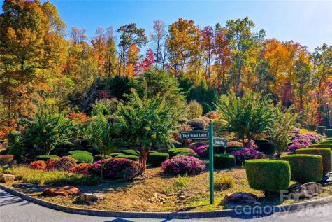 0 High Pines Loop Lake Lure NC 28746