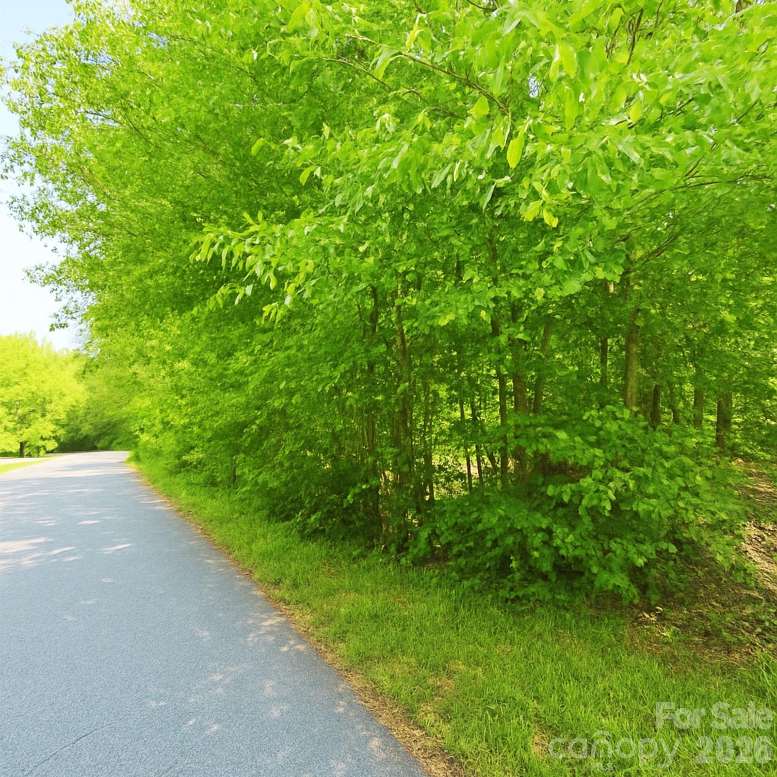1243 Beechwood Drive Newton NC 28658
