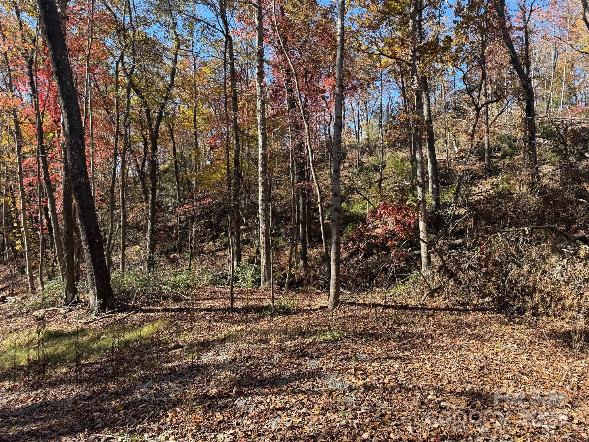 00 Normcol Road Pisgah Forest NC 28768