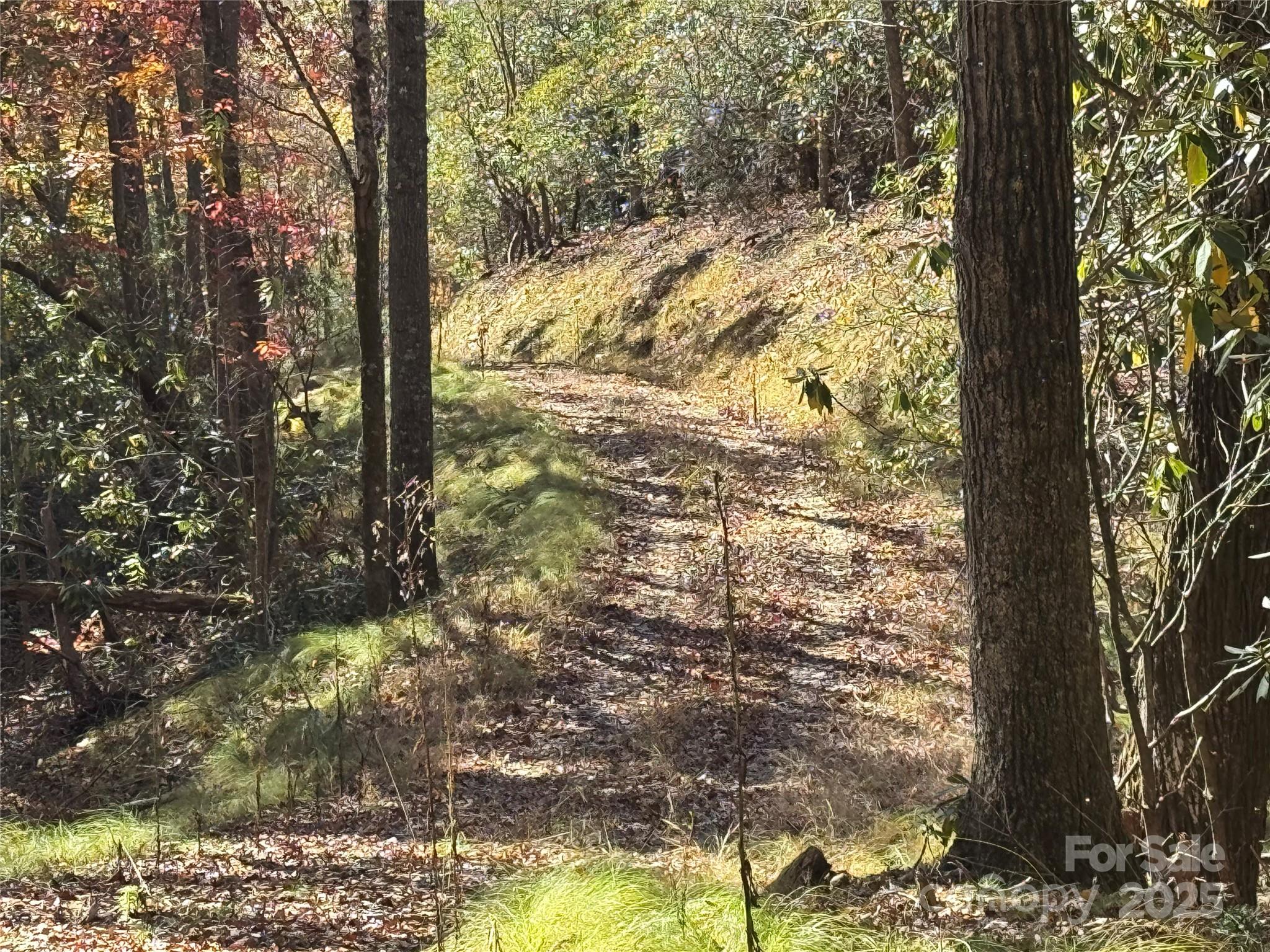 00 Normcol Road Pisgah Forest NC 28768