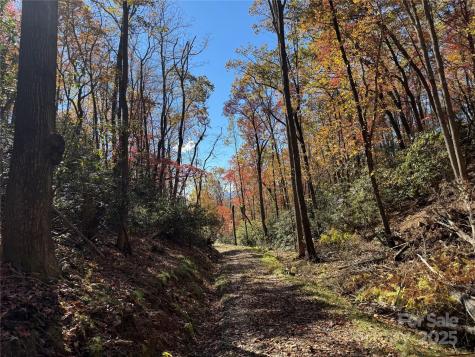 00 Normcol Road Pisgah Forest NC 28768