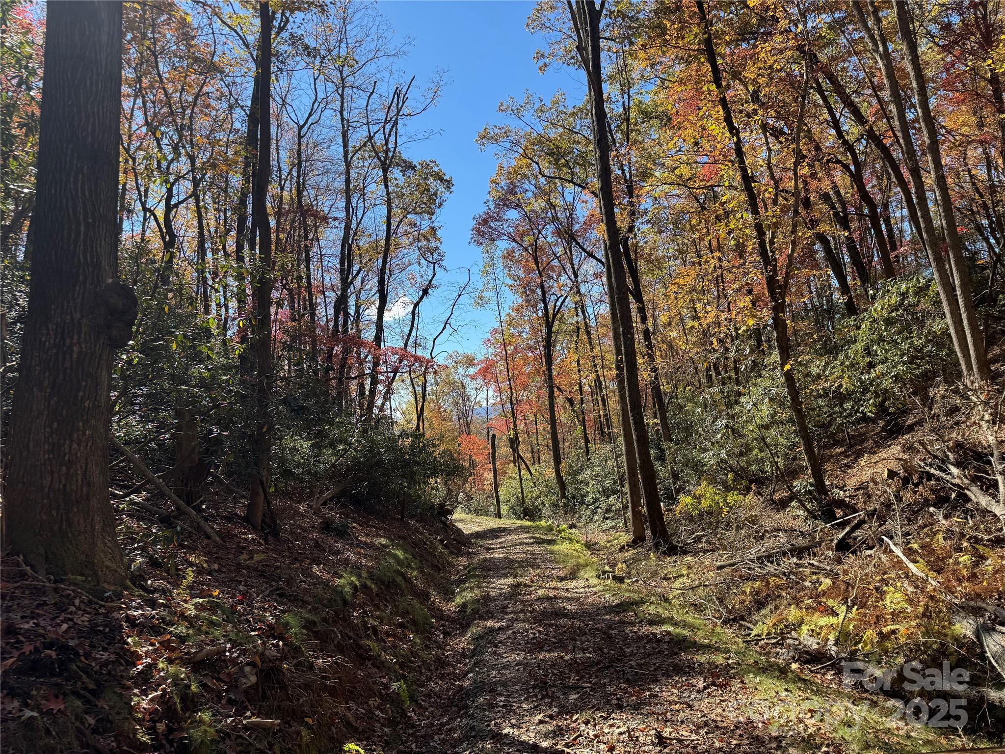 00 Normcol Road Pisgah Forest NC 28768