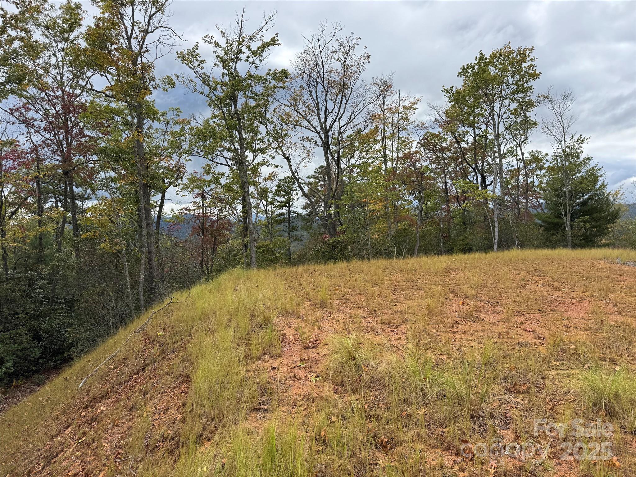 00 Normcol Road Pisgah Forest NC 28768