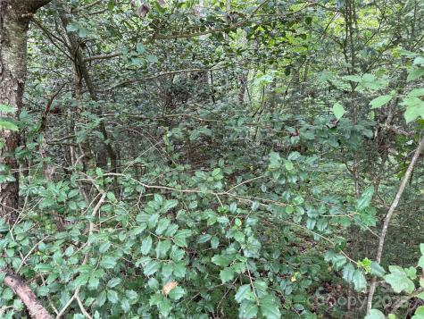 Lot 23 Zinzendorf Lane Moravian Falls NC 28654