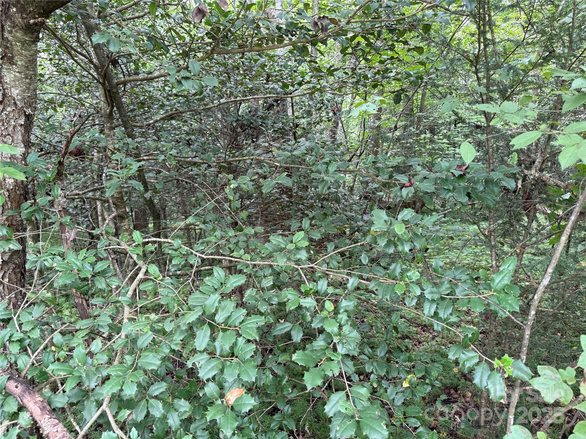 Lot 23 Zinzendorf Lane Moravian Falls NC 28654
