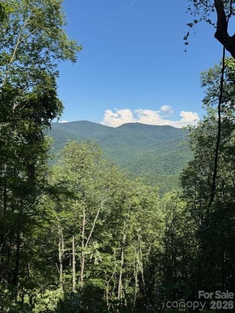 5379 Preserve Road Sylva NC 28779