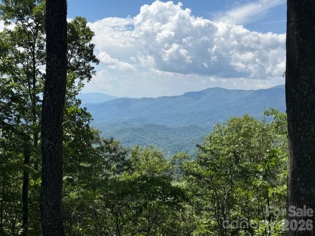 5379 Preserve Road Sylva NC 28779