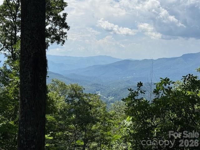 5379 Preserve Road Sylva NC 28779