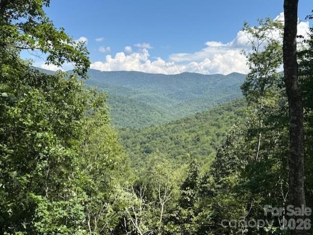 5379 Preserve Road Sylva NC 28779