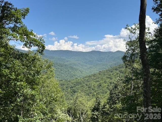 5379 Preserve Road Sylva NC 28779