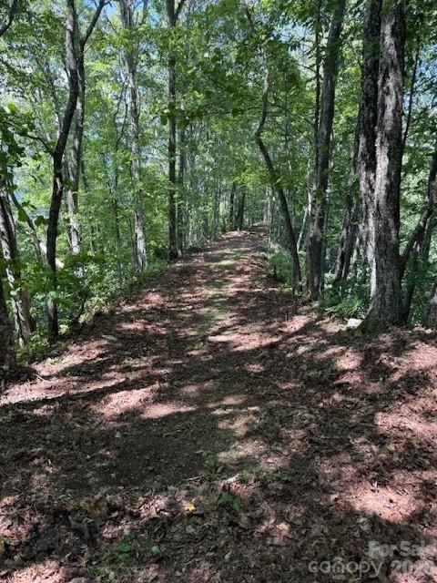 5379 Preserve Road Sylva NC 28779