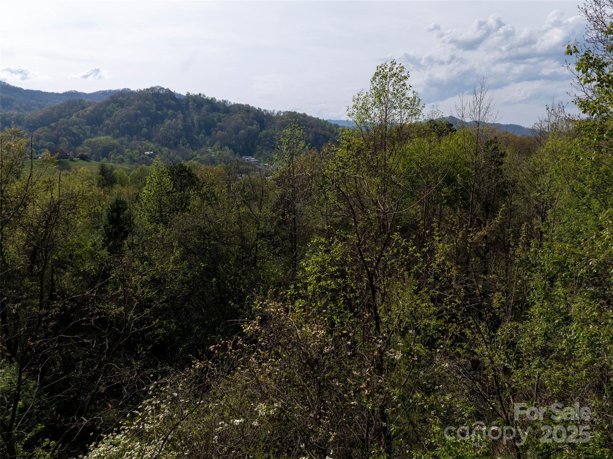 Lot 39 Sunnybrook Trail Clyde NC 28721