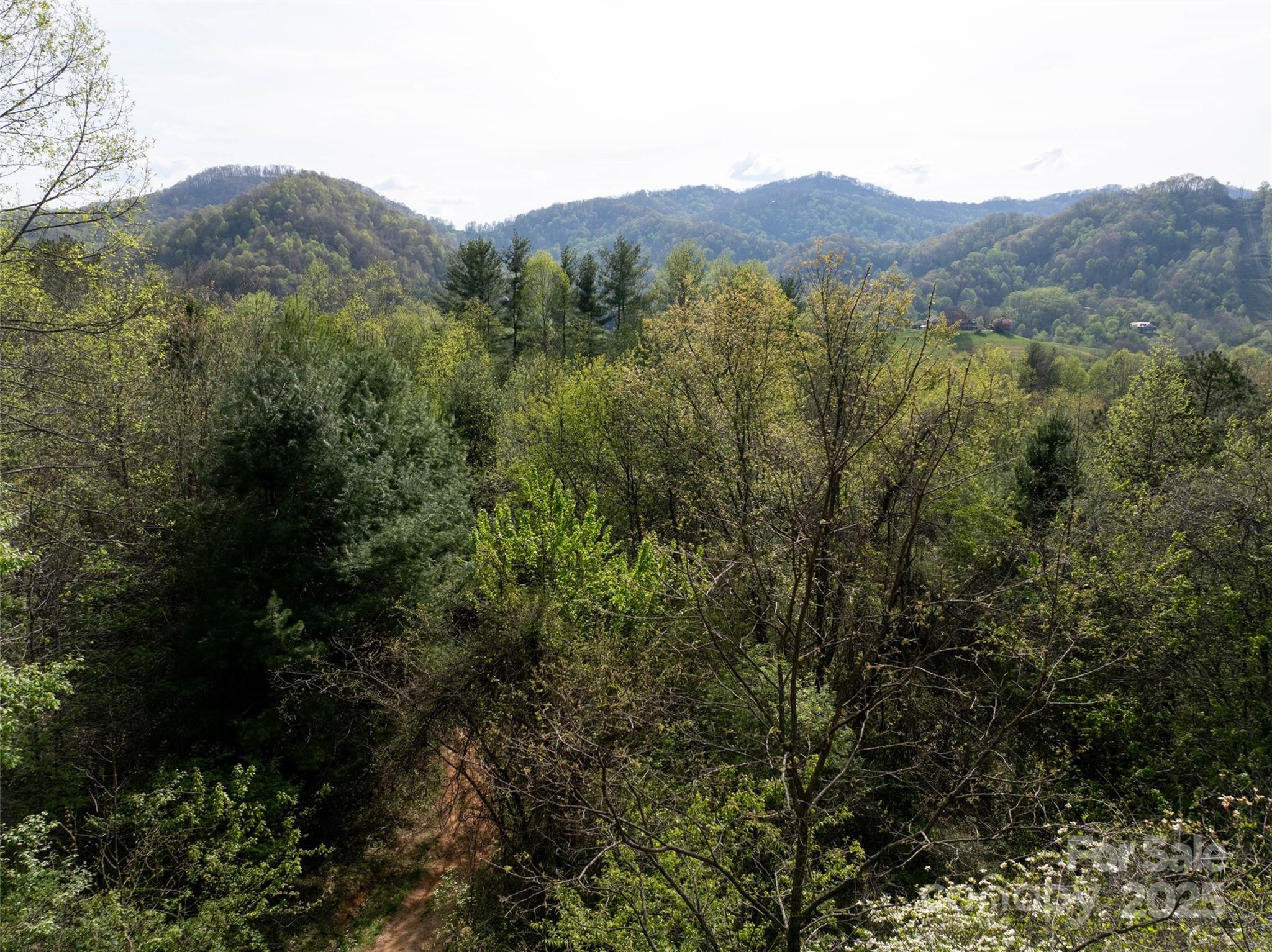 Lot 39 Sunnybrook Trail Clyde NC 28721