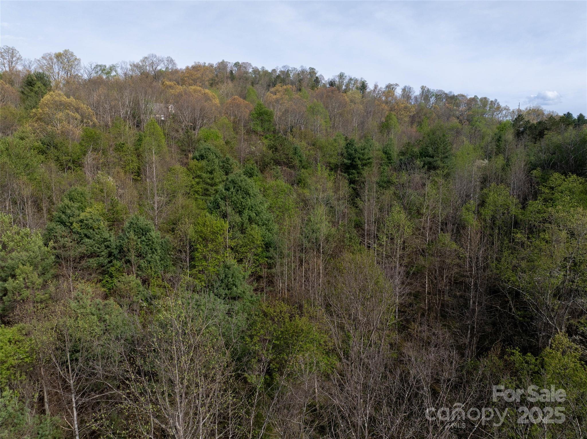 Lot 39 Sunnybrook Trail Clyde NC 28721