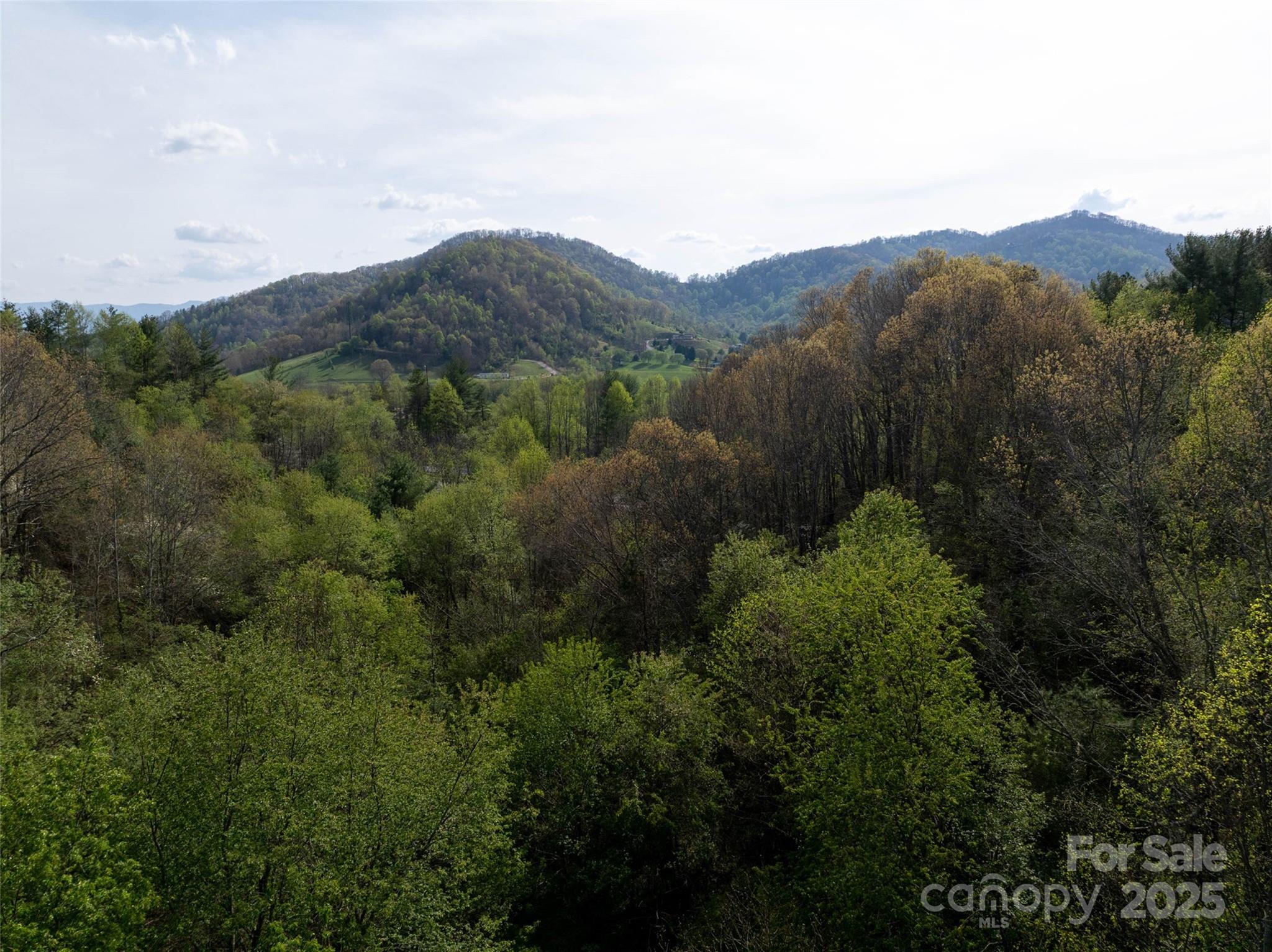 Lot 39 Sunnybrook Trail Clyde NC 28721