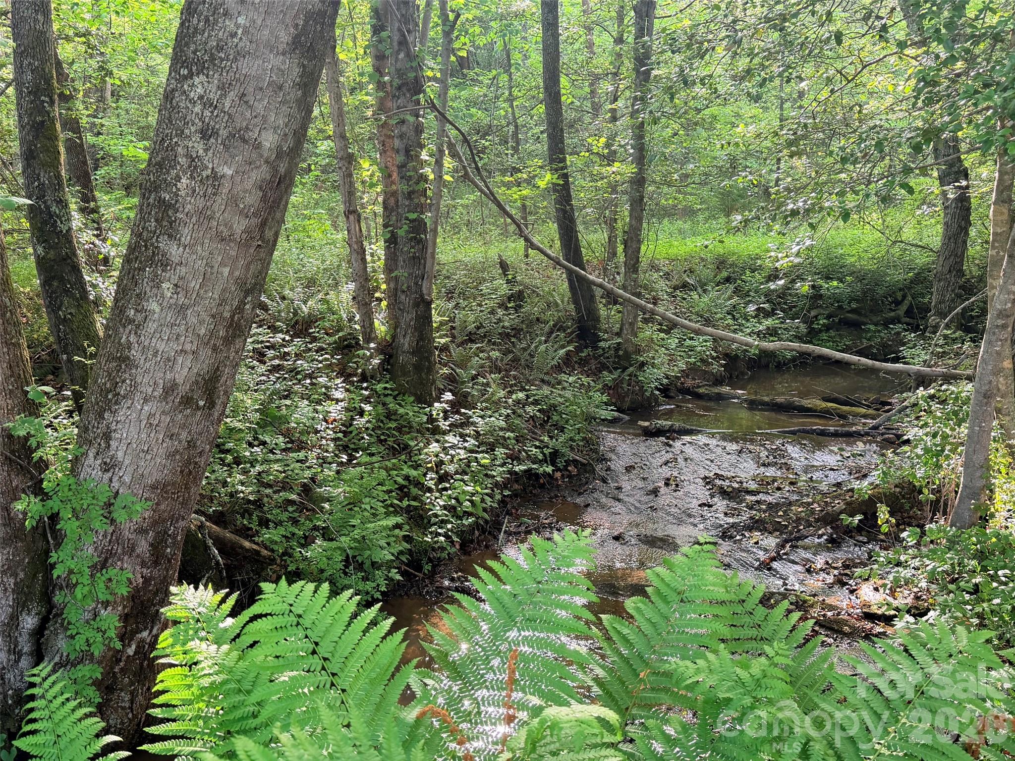 Lot 64 Shuttle Mill Crossing Lake Lure NC 28746