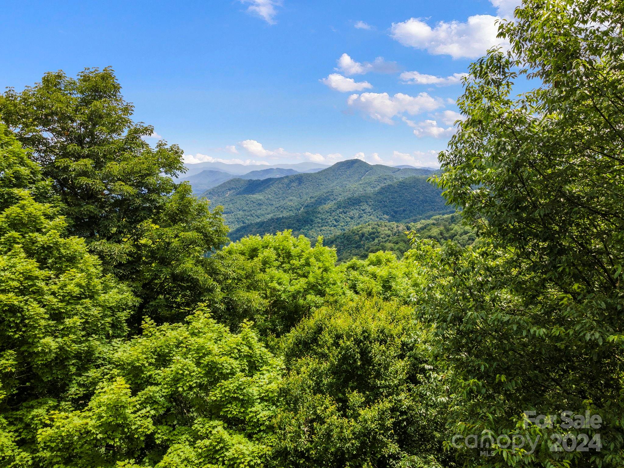 948 Lookout Drive Mars Hill NC 28754