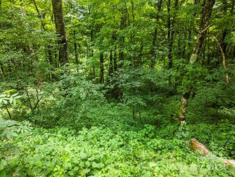 948 Lookout Drive Mars Hill NC 28754
