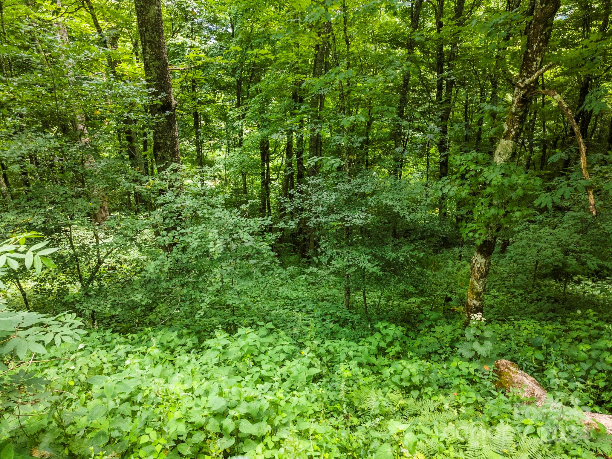 948 Lookout Drive Mars Hill NC 28754